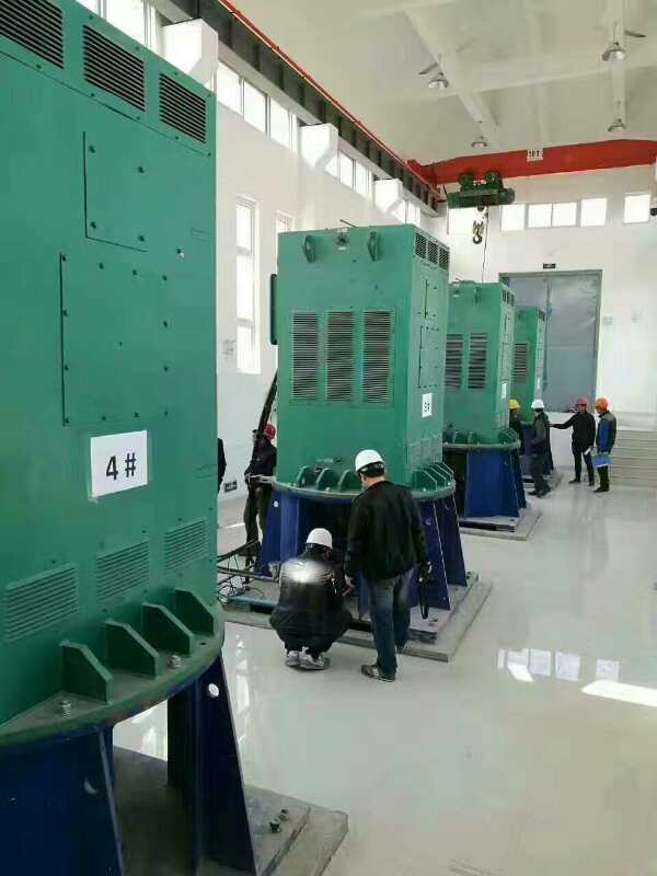 龙河镇某污水处理厂使用我厂的立式高压电机安装现场现货销售