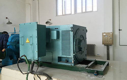 龙河镇某水电站工程主水泵使用我公司高压电机